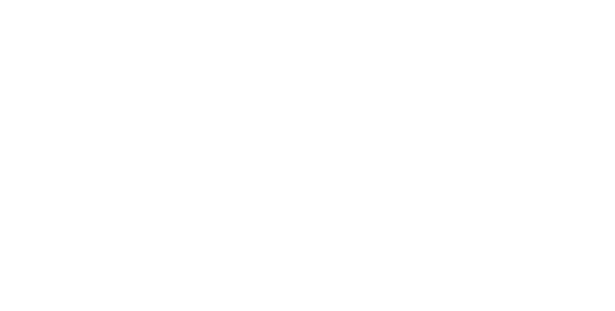 SasS Executive Search